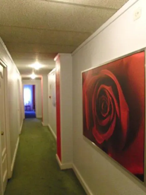 **  Hotel Photo Zabalburu Bilbao Hiszpania